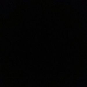 Meet your Posher, Carter